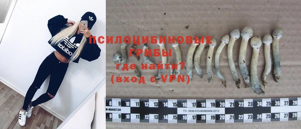 ешки Осташков
