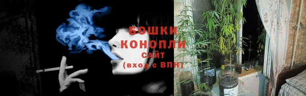 сатива Остров